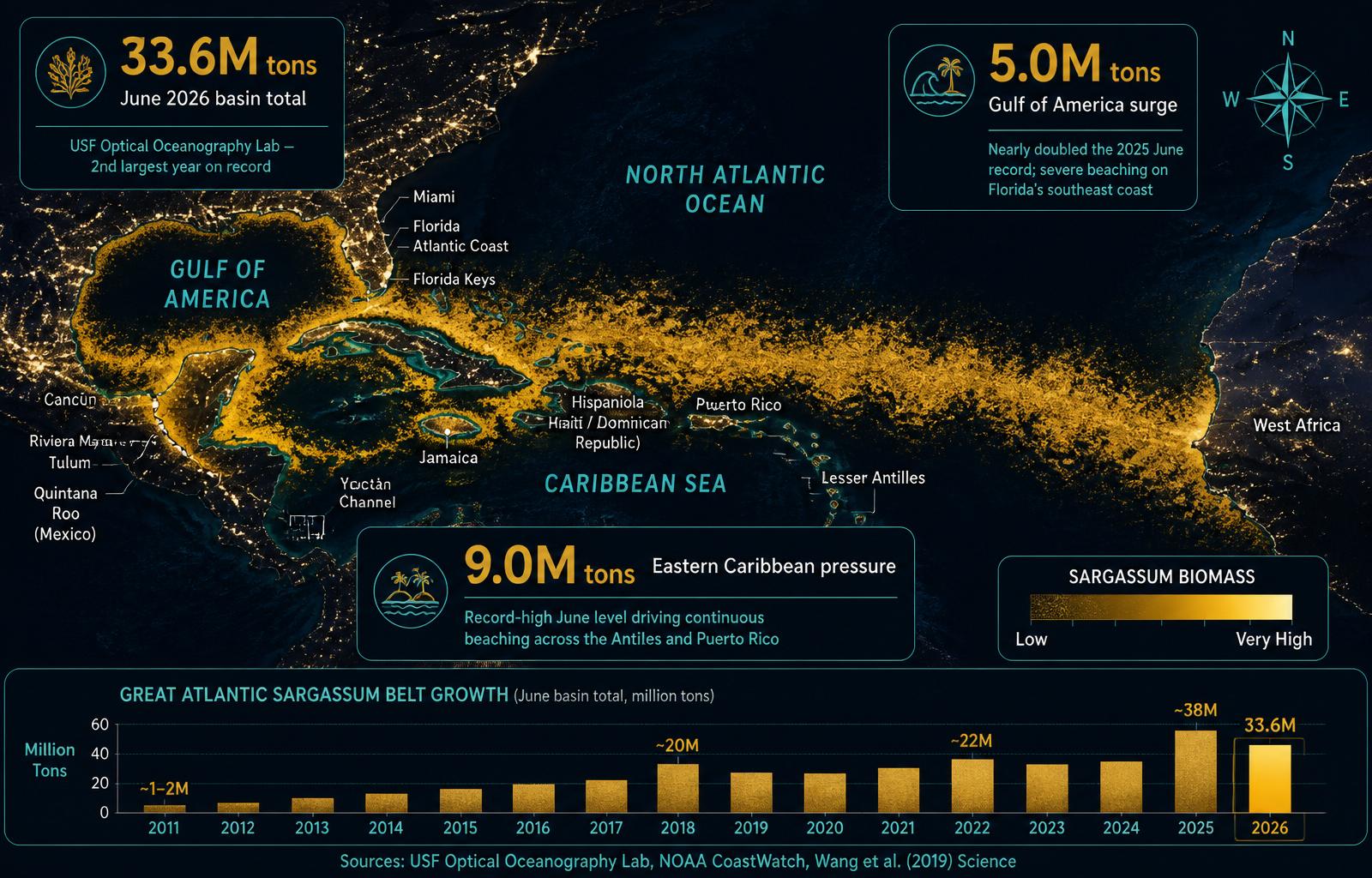 The Sargassum Crisis — infographic showing 33.6M tons basin total, 5.0M tons Gulf of America and 9.0M tons Eastern Caribbean, with the Great Sargassum Belt satellite map and 2011–2026 growth chart